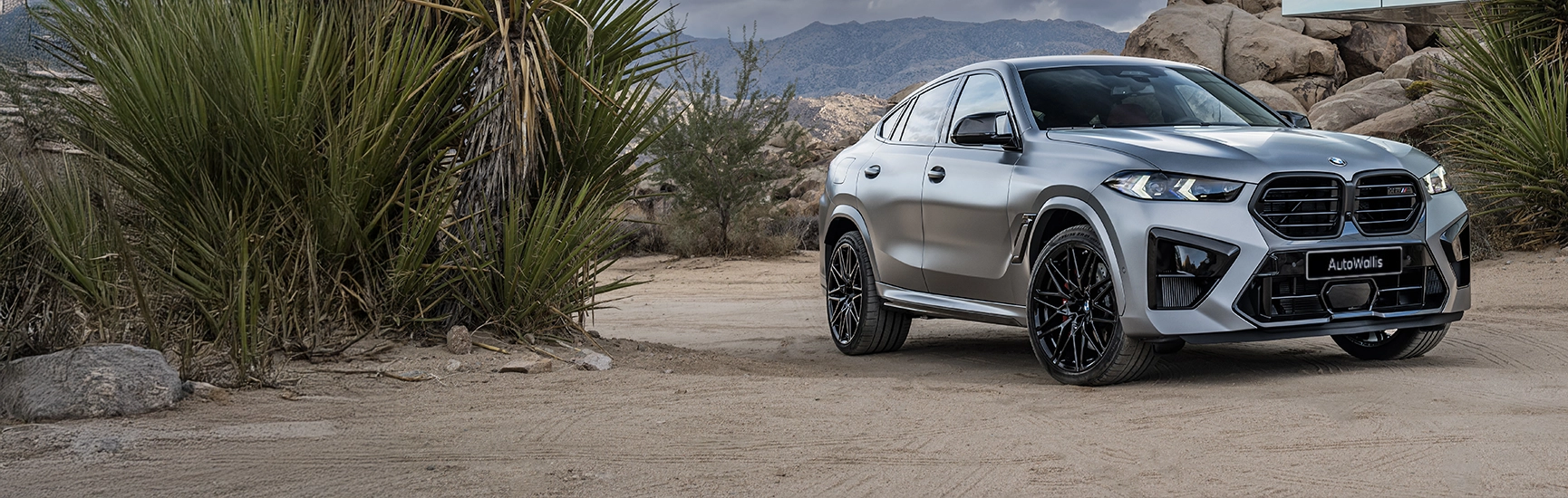 BMW X6 M