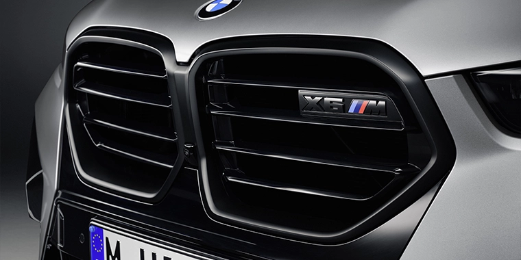 BMW X6 M